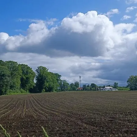 La Maison Du Moussu Ger (Pyrenees-Atlantiques)