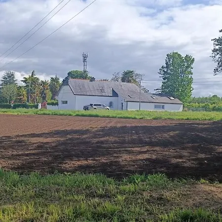 公寓 La Maison Du Moussu Ger (Pyrenees-Atlantiques)